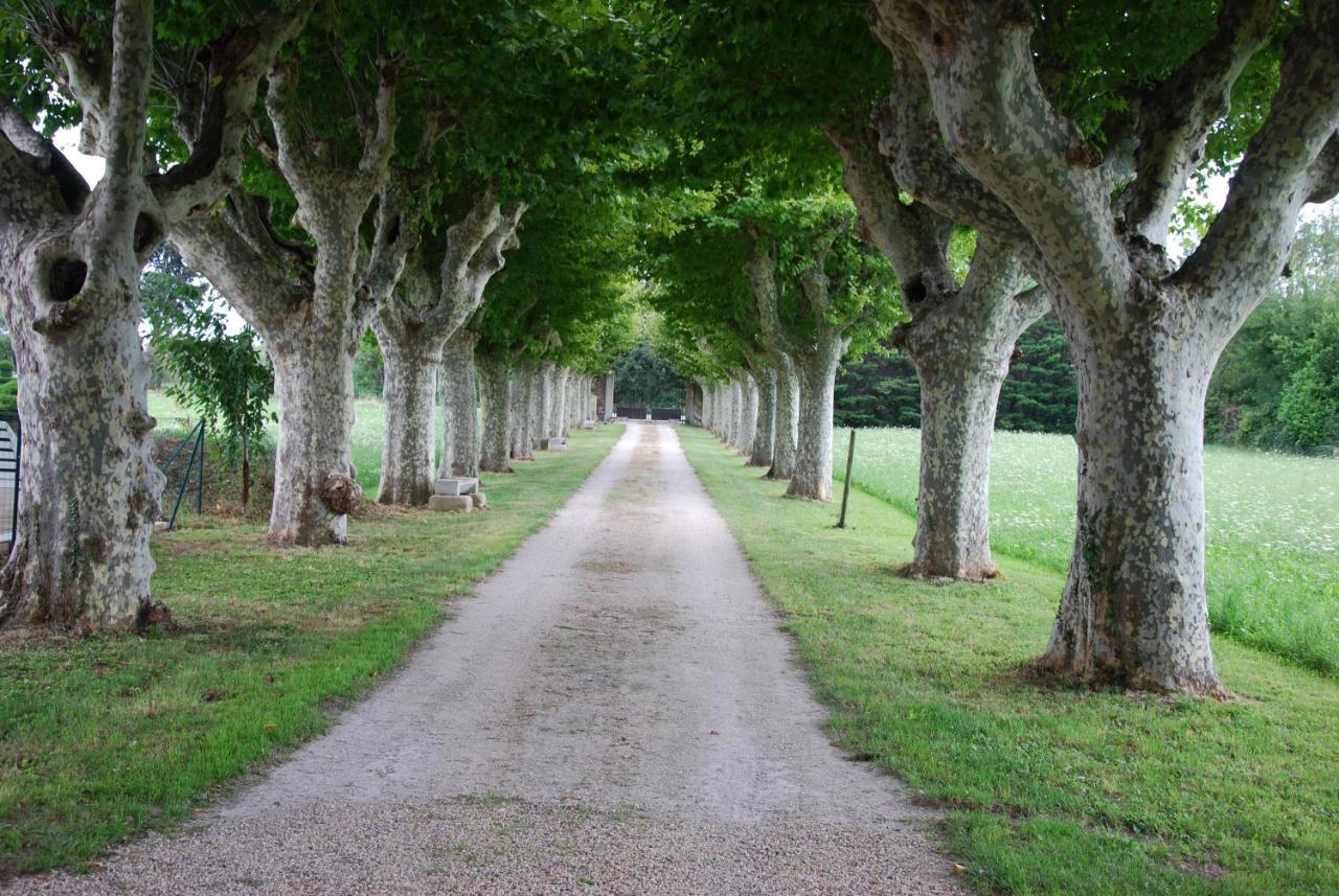 Le Mas Saint Jacques Le Pontet  Buitenkant foto