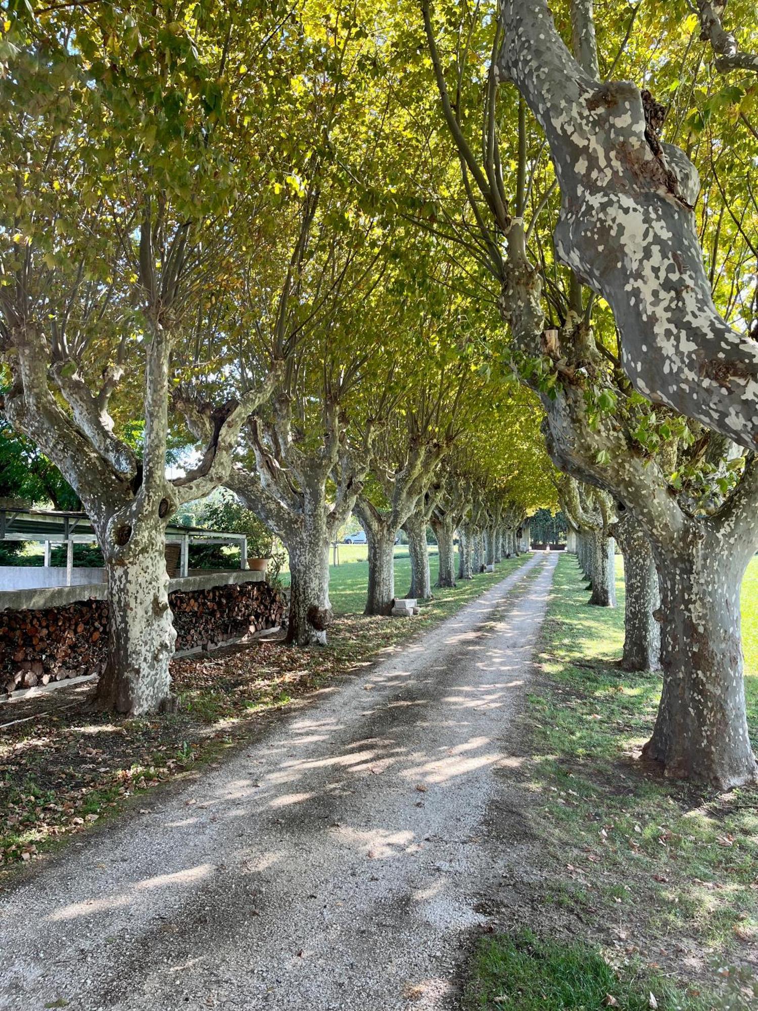 Le Mas Saint Jacques Le Pontet  Buitenkant foto